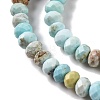 Natural Howlite Beads Strands X-G-H025-03C-09-4