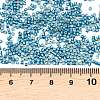 MIYUKI Delica Beads X-SEED-J020-DB2513-3