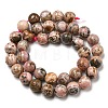 Natural Rhodonite Beads Strands G-R494-A12-04-2