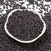 Baking Paint Glass Seed Beads SEED-S042-05A-24-2