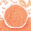 6/0 Luminous Glass Seed Beads SEED-NH0001-01D-4