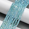 Transparent Baking Painted Glass Beads Strands DGLA-F002-02B-02-2