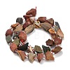 Natural Ocean Jasper Beads Strands GG-CBA0B77-A23-02-5