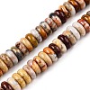 Natural Crazy Agate Beads Strands G-T138-64-4