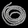 Transparent Glass Beads Strands EGLA-A035-T3mm-D19-3