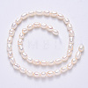 Natural Cultured Freshwater Pearl Beads Strands PEAR-F007-70-3