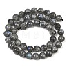 Natural Labradorite Beads Strands G-P336-19-8mm-01-5