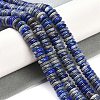 Natural Lapis Lazuli Beads Strands G-Q159-B07-01-2