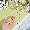 50Pcs Dyed Synthetic Coral Beads FIND-ME0003-86C-3