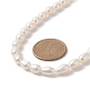 Natural Pearl Beaded Necklace for Women NJEW-JN04188-02-3