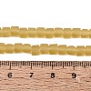Transparent Frosted Glass Beads Strands GLAA-N072-01A-A03-4
