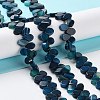 Natural Agate Beads Strands G-G021-04A-11-2