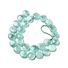Natural Glass Beads Strands G-I247-28C-3