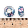 Lampwork & Brass Core European Beads LAMP-P019-01P-17-3