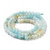 Natural Flower Amazonite Beads Strands G-J400-A08-03-3