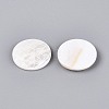 Natural White Shell Cabochons BSHE-T014-49-3