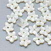 Natural White Shell Beads SSHEL-S260-005-1