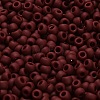 TOHO 6/0 Round Beads SEED-TR06-0046F-4