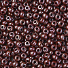 6/0 Czech Opaque Glass Seed Beads SEED-N004-003D-14-4