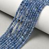 Natural Kyanite Beads Strands G-K376-E04-02-1