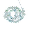 Natural Glass Beads Strands G-Z091-A26-2