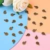 Tibetan Style Alloy Charms LS-MLF0339Y-NF-5