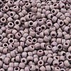 TOHO 6/0 Round Beads X-SEED-TR06-0412F-3
