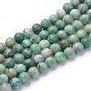 Natural Green Spot Jasper Beads Strands G-T055-8mm-16-1