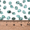 Picasso Glass Seed Beads GL-N001-02B-4