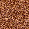 MIYUKI Delica Beads SEED-X0054-DB2287-3