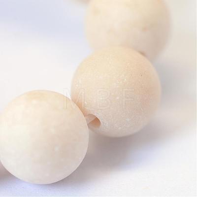 Frosted Natural Fossil Round Bead Strands G-E334-8mm-22-1
