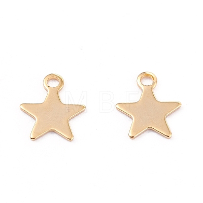 201 Stainless Steel Charms X-STAS-B001-14A-G-1