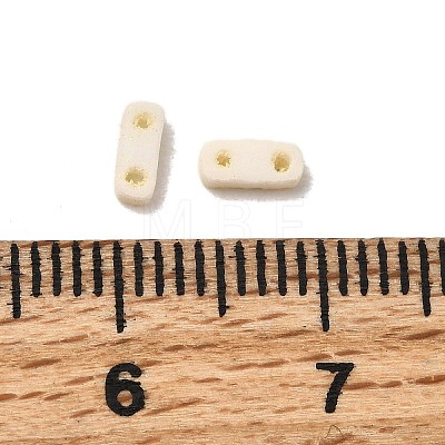 2-Hole Baking Paint Glass Seed Beads SEED-S023-17A-06-1