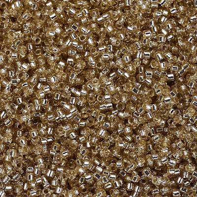 MIYUKI Delica Beads LS-X-SEED-J020-DB2155-1