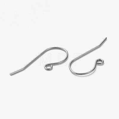 304 Stainless Steel Earring Hooks X-STAS-L253-004P-1