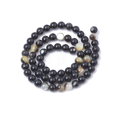 Black Lip Shell Bead Strands SSHEL-Q300-078B-1