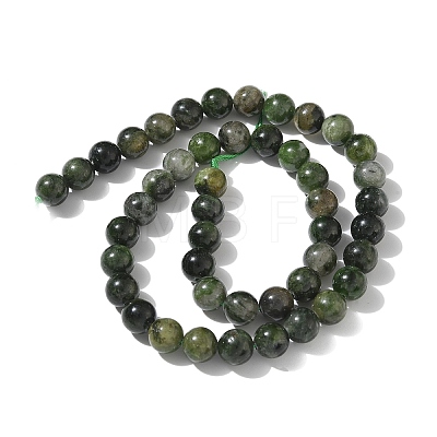 Natural Green Diopside Beads Strands G-K382-B01-02-1