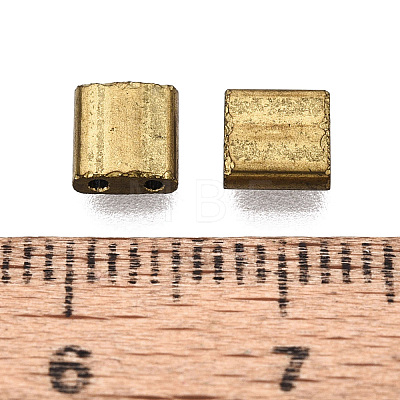 Electroplate Opaque Glass Seed Beads SEED-S023-20C-02-1