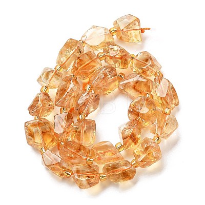 Natural Citrine Beads Strands G-H074-C02-02-1