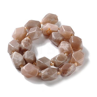 Natural Peach Moonstone Beads Strands G-C182-13-02-1