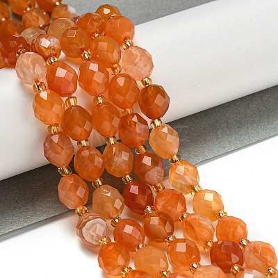 Natural Orange Botswana Agate Beads Strands G-N342-45-1
