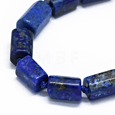 Natural Lapis Lazuli Beads Strands G-O170-100-1