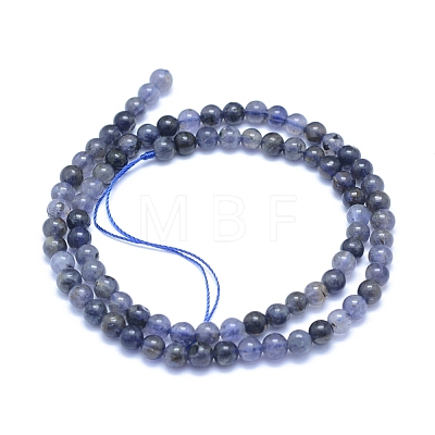 Natural Iolite/Cordierite/Dichroite Beads Strands G-L552H-11A-1