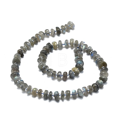 Natural Labradorite Beads Strands G-E576-58-1