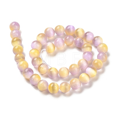 Natural Selenite Beads Strands G-P493-03E-1