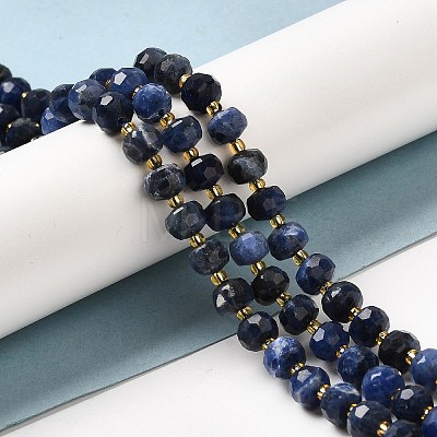 Natural Sodalite Beads Strands G-P508-A10-01-1