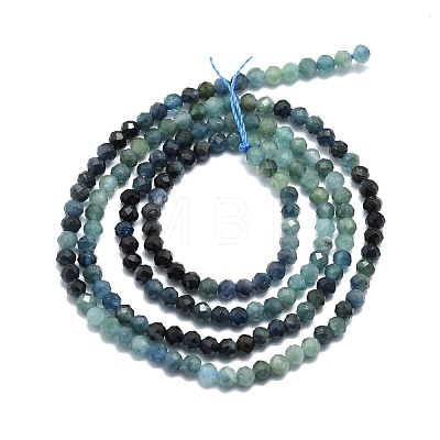 Natural Gradient Blue Tourmaline Beads Strands G-P457-A01-14A-1