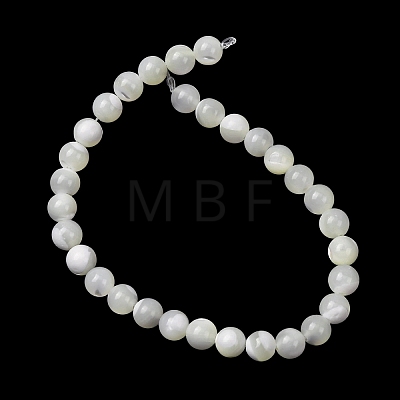 Natural Trochid Shell/Trochus Shell Beads Strands SH-CBA2978-16B-1