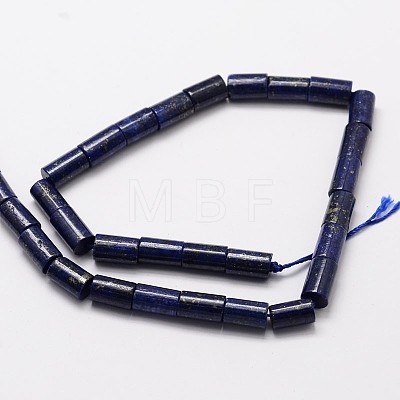 Natural Lapis Lazuli Column Bead Strands X-G-M264-14-1