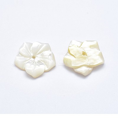 Flower Natural White Shell Beads SSHEL-P015-03-1